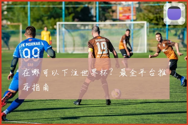 在哪可以下注世界杯?最全平台推荐指南