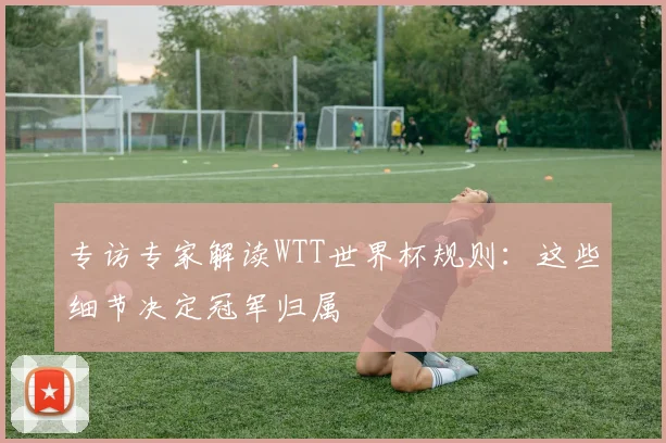 专访专家解读WTT世界杯规则：这些细节决定冠军归属