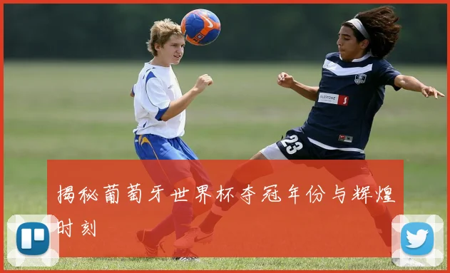 揭秘葡萄牙世界杯夺冠年份与辉煌时刻