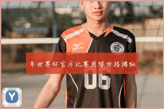 年世界杯官方比赛用球价格揭秘