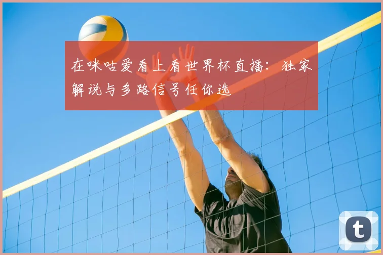 在咪咕爱看上看世界杯直播:独家解说与多路信号任你选