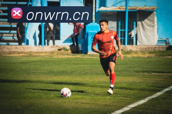 leyu乐鱼手机登录入口服务体系